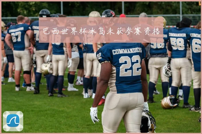 巴西世界杯冰岛未获参赛资格