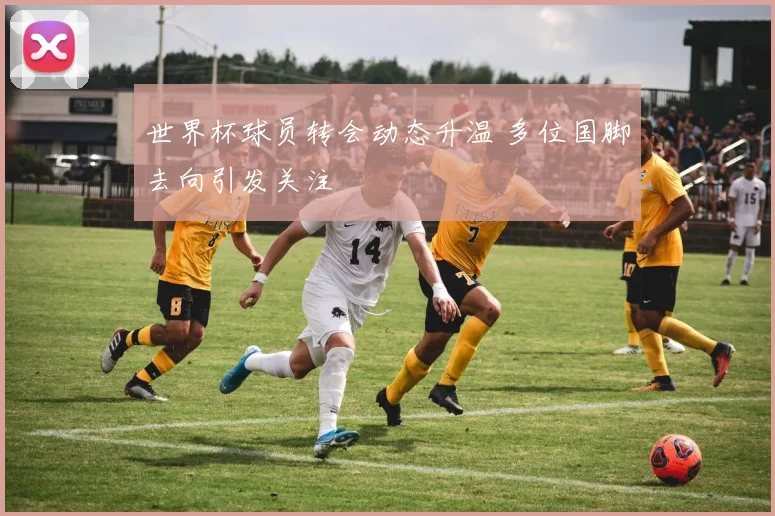 世界杯球员转会动态升温 多位国脚去向引发关注
